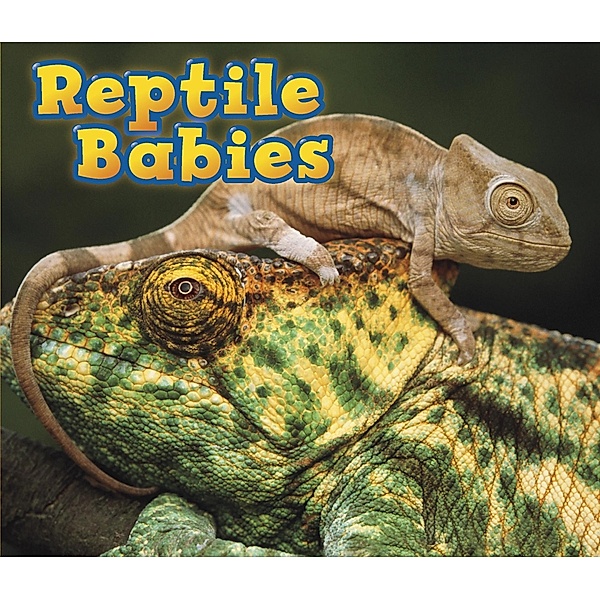 Reptile Babies / Raintree Publishers, Catherine veitch