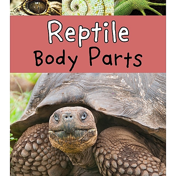 Reptile Body Parts / Raintree Publishers, Clare Lewis