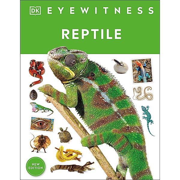 Reptile / DK Eyewitness, Colin McCarthy