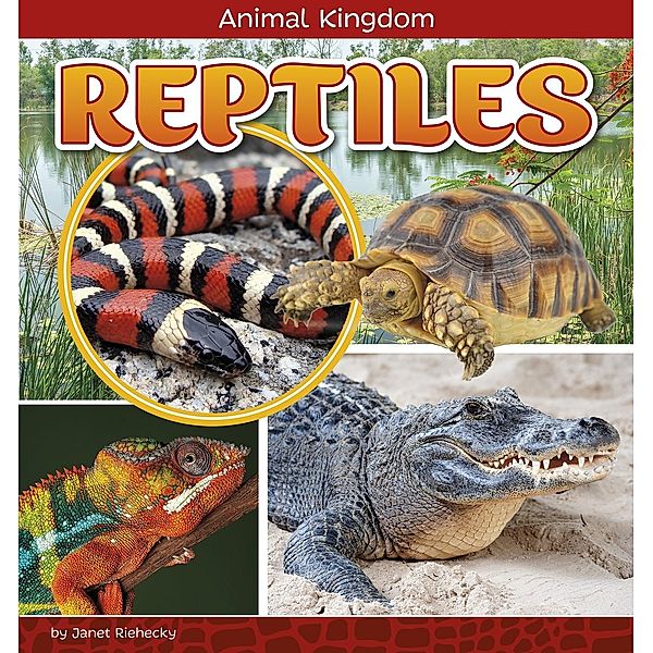 Reptiles, Janet Riehecky