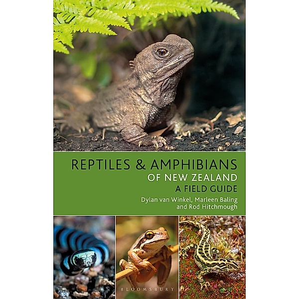 Reptiles and Amphibians of New Zealand, Dylan Van Winkel, Marleen Baling, Rod Hitchmough