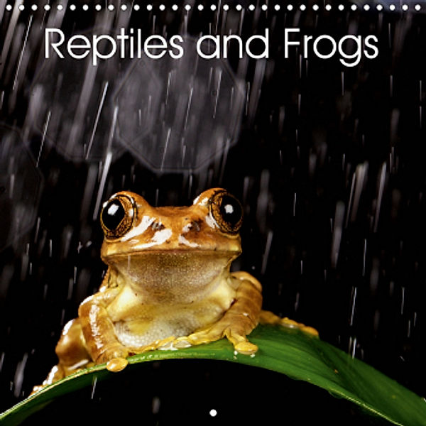 Reptiles and Frogs (Wall Calendar 2021 300 × 300 mm Square), Mark Bridger