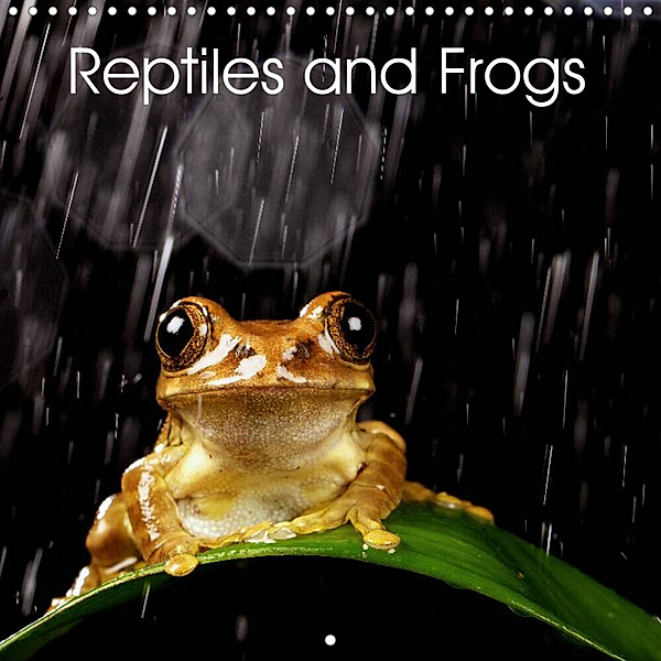 Reptiles and Frogs (Wall Calendar 2023 300 × 300 mm Square), mark bridger