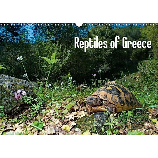 Reptiles of Greece / UK-version (Wall Calendar 2017 DIN A3 Landscape), Stefan Dummermuth