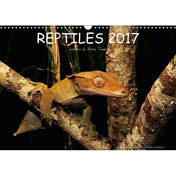 REPTILES / UK-Version (Wall Calendar 2017 DIN A3 Landscape), Benny Trapp