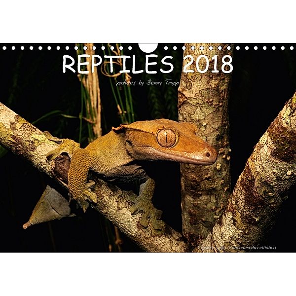 REPTILES / UK-Version (Wall Calendar 2018 DIN A4 Landscape), Benny Trapp