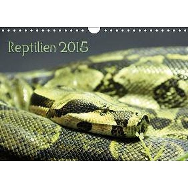 Reptilien 2015 (Wandkalender 2015 DIN A4 quer), lajavi.com