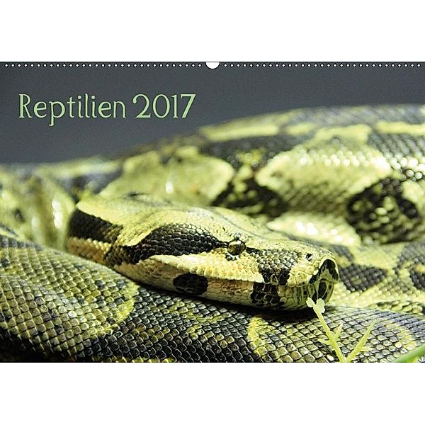 Reptilien 2017 (Wandkalender 2017 DIN A2 quer), lajavi.com