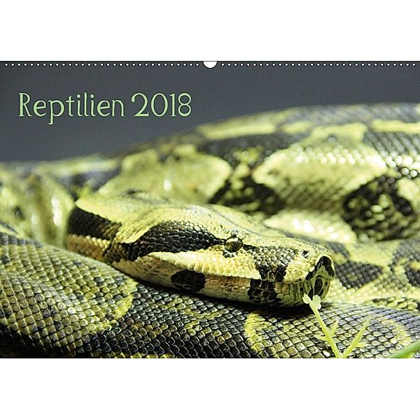 Reptilien 2018 (Wandkalender 2018 DIN A2 quer), lajavi.com