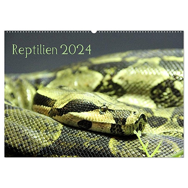 Reptilien 2024 (Wandkalender 2024 DIN A2 quer), CALVENDO Monatskalender, lajavi.com