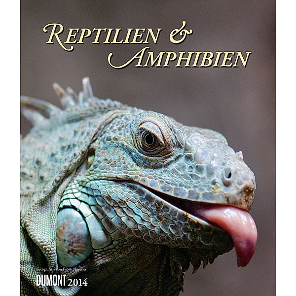 Reptilien & Amphibien 2014