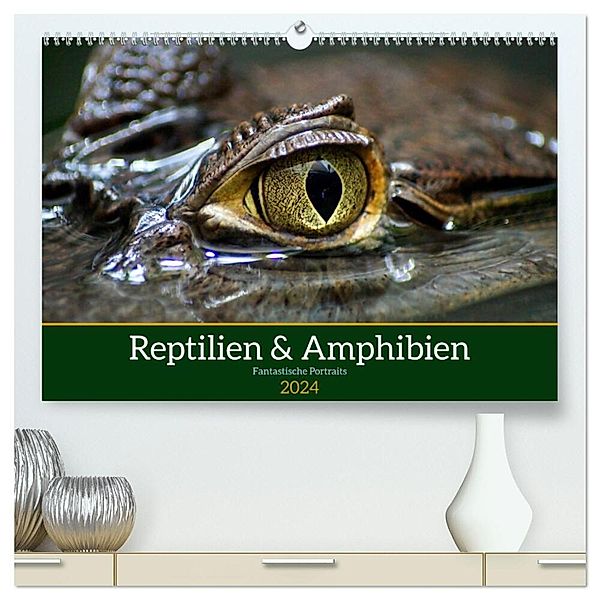 Reptilien & Amphibien Portraits (hochwertiger Premium Wandkalender 2024 DIN A2 quer), Kunstdruck in Hochglanz, Klaus Vartzbed