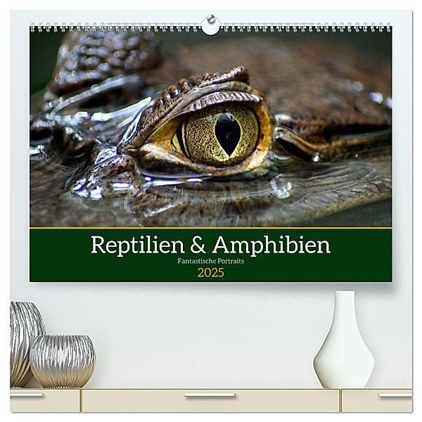 Reptilien & Amphibien Portraits (hochwertiger Premium Wandkalender 2025 DIN A2 quer), Kunstdruck in Hochglanz, Calvendo, Klaus Vartzbed