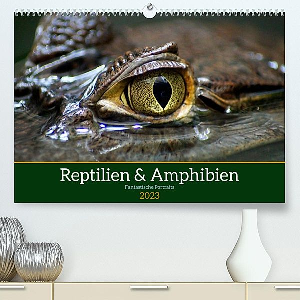 Reptilien & Amphibien Portraits (Premium, hochwertiger DIN A2 Wandkalender 2023, Kunstdruck in Hochglanz), Klaus Vartzbed