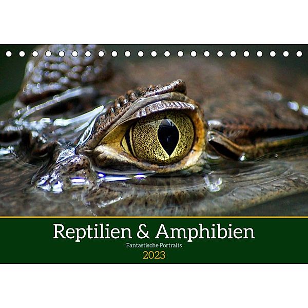 Reptilien & Amphibien Portraits (Tischkalender 2023 DIN A5 quer), Klaus Vartzbed