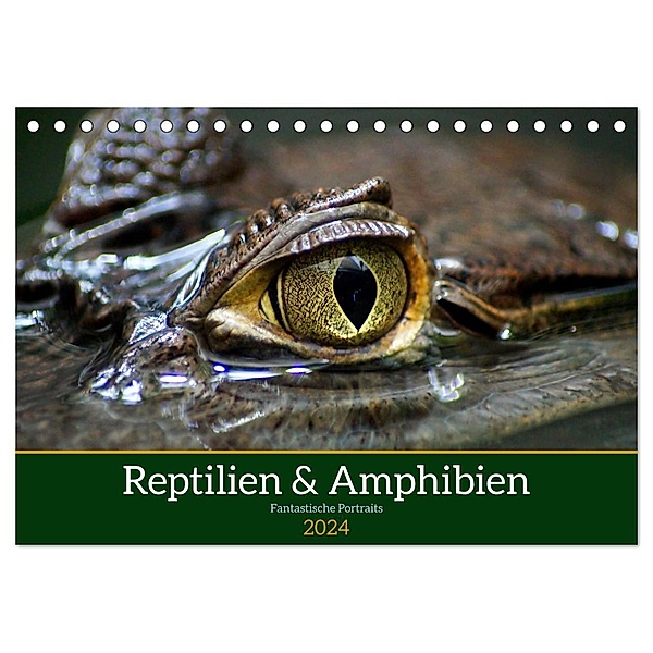 Reptilien & Amphibien Portraits (Tischkalender 2024 DIN A5 quer), CALVENDO Monatskalender, Klaus Vartzbed