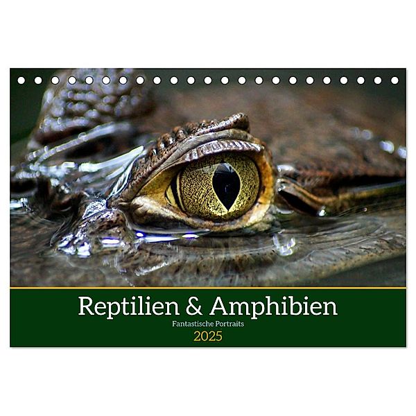 Reptilien & Amphibien Portraits (Tischkalender 2025 DIN A5 quer), CALVENDO Monatskalender, Calvendo, Klaus Vartzbed