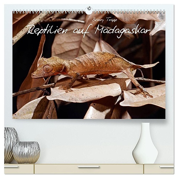 Reptilien auf Madagaskar (hochwertiger Premium Wandkalender 2024 DIN A2 quer), Kunstdruck in Hochglanz, Benny Trapp
