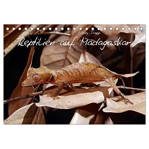 Reptilien auf Madagaskar (Tischkalender 2024 DIN A5 quer), CALVENDO Monatskalender, Benny Trapp