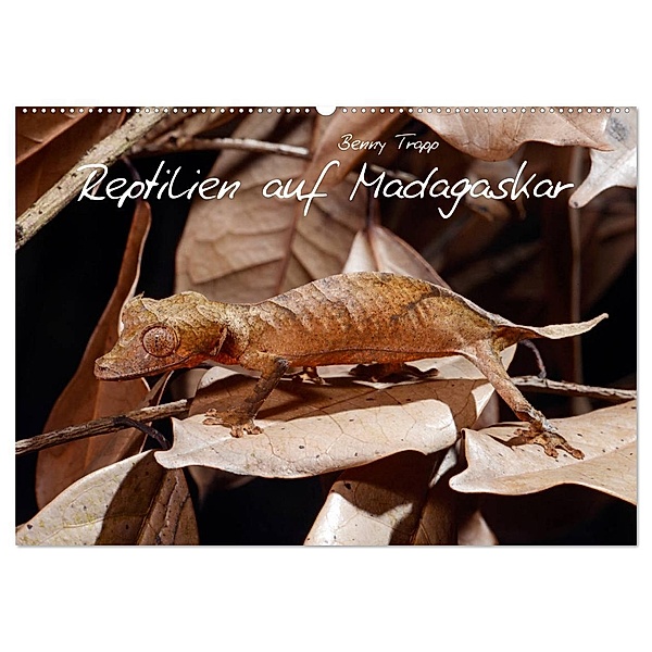 Reptilien auf Madagaskar (Wandkalender 2024 DIN A2 quer), CALVENDO Monatskalender, Benny Trapp