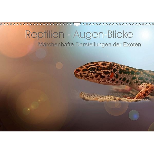 Reptilien - Augen-Blicke. Märchenhafte Darstellungen der Exoten (Wandkalender 2020 DIN A3 quer), Brigitte Jaritz