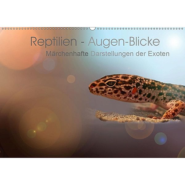 Reptilien - Augen-Blicke. Märchenhafte Darstellungen der Exoten (Wandkalender 2020 DIN A2 quer), Brigitte Jaritz