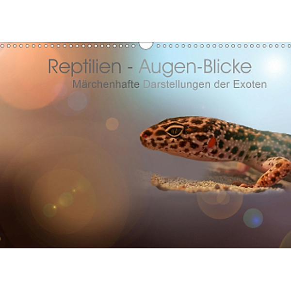 Reptilien - Augen-Blicke. Märchenhafte Darstellungen der Exoten (Wandkalender 2021 DIN A3 quer), Brigitte Jaritz
