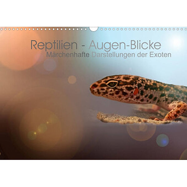 Reptilien - Augen-Blicke. Märchenhafte Darstellungen der Exoten (Wandkalender 2022 DIN A3 quer), Brigitte Jaritz