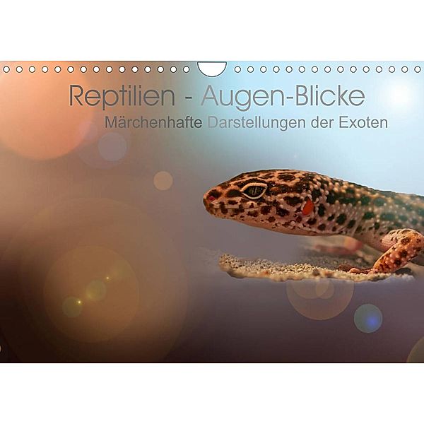 Reptilien - Augen-Blicke. Märchenhafte Darstellungen der Exoten (Wandkalender 2023 DIN A4 quer), Brigitte Jaritz
