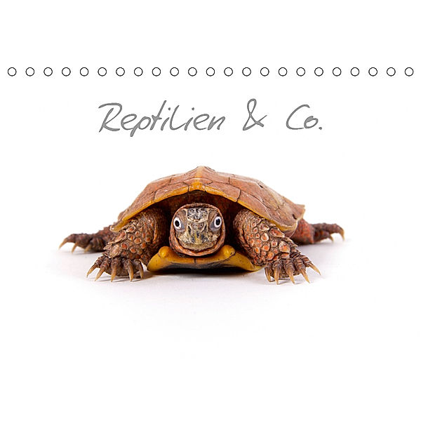 Reptilien & Co. (Tischkalender 2019 DIN A5 quer), Hans-Peter Möhlig