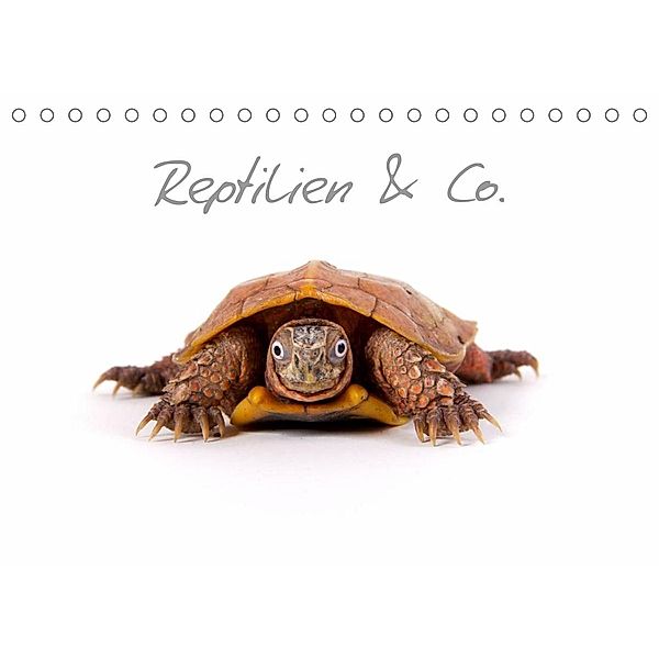 Reptilien & Co. (Tischkalender 2023 DIN A5 quer), Hans-Peter Möhlig