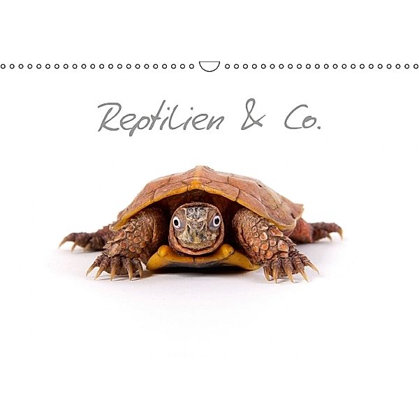 Reptilien & Co. (Wandkalender 2014 DIN A3 quer), Hans-Peter Möhlig