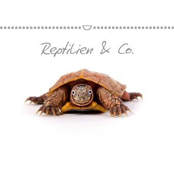 Reptilien & Co. (Wandkalender 2015 DIN A3 quer), Hans-Peter Möhlig