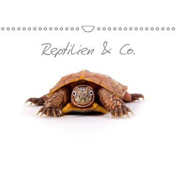 Reptilien & Co. (Wandkalender 2015 DIN A4 quer), Hans-Peter Möhlig