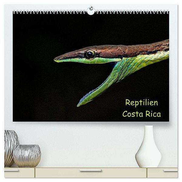 Reptilien Costa Rica (hochwertiger Premium Wandkalender 2024 DIN A2 quer), Kunstdruck in Hochglanz, Stefan Dummermuth