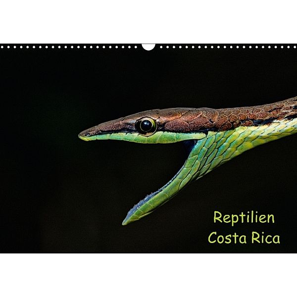 Reptilien Costa Rica (Wandkalender 2014 DIN A3 quer), Stefan Dummermuth