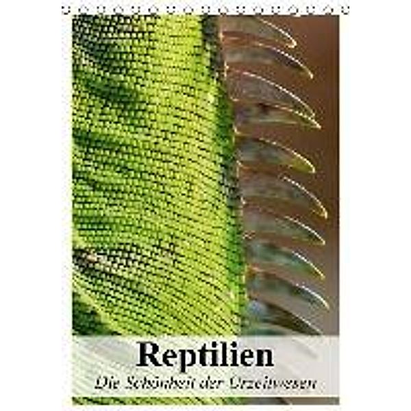 Reptilien. Die Schönheit der Urzeitwesen (Tischkalender 2016 DIN A5 hoch), Elisabeth Stanzer