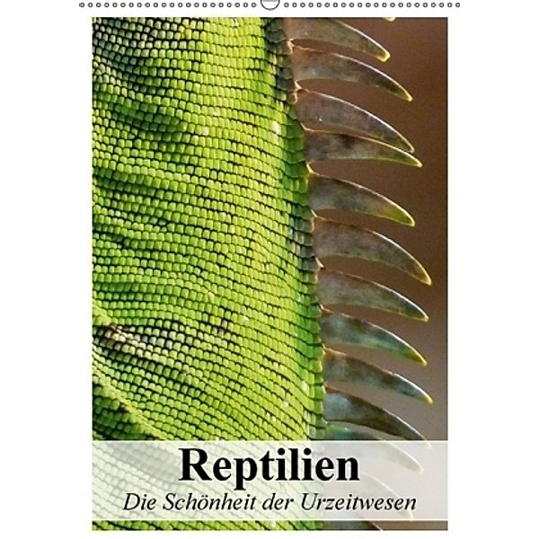 Reptilien. Die Schönheit der Urzeitwesen (Wandkalender 2017 DIN A2 hoch), Elisabeth Stanzer