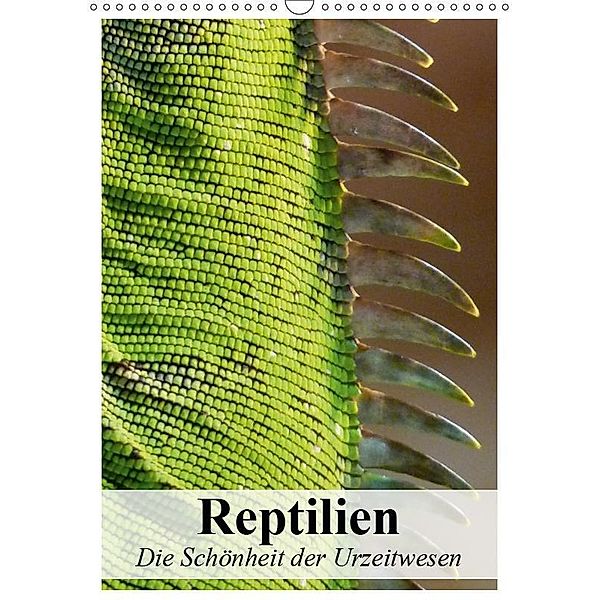 Reptilien. Die Schönheit der Urzeitwesen (Wandkalender 2019 DIN A3 hoch), Elisabeth Stanzer
