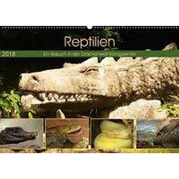 Reptilien. Ein Besuch in der Drachenwelt Königswinter (Wandkalender 2018 DIN A2 quer), k. A. Stoerti-md