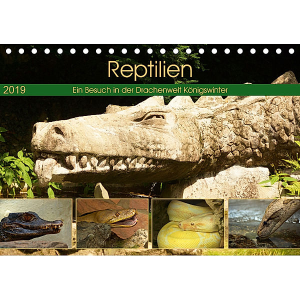 Reptilien. Ein Besuch in der Drachenwelt Königswinter (Tischkalender 2019 DIN A5 quer), Stoerti-md