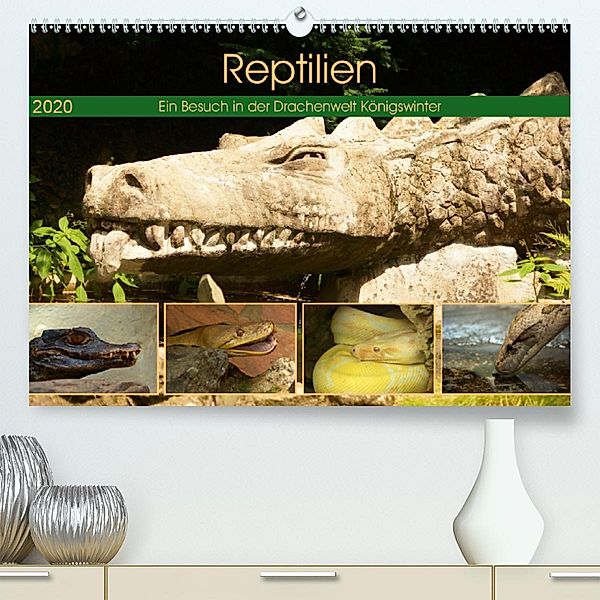 Reptilien. Ein Besuch in der Drachenwelt Königswinter (Premium-Kalender 2020 DIN A2 quer)