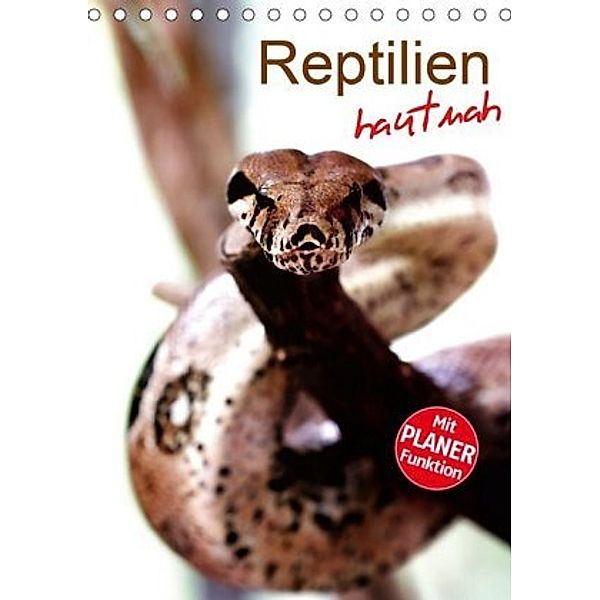 Reptilien hautnah (Tischkalender 2020 DIN A5 hoch), Stefan Mosert