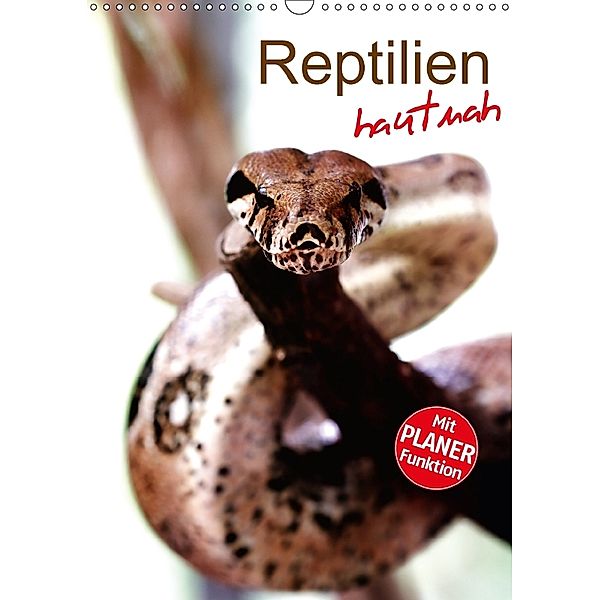 Reptilien hautnah (Wandkalender 2018 DIN A3 hoch), Stefan Mosert