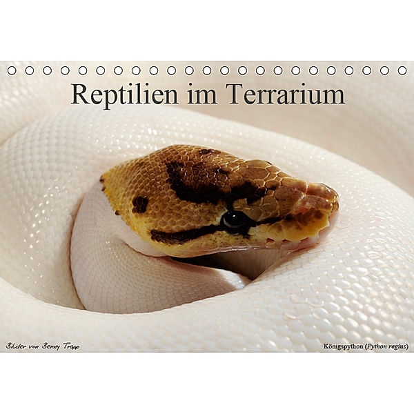 REPTILIEN IM TERRARIUM (Tischkalender 2019 DIN A5 quer), Benny Trapp