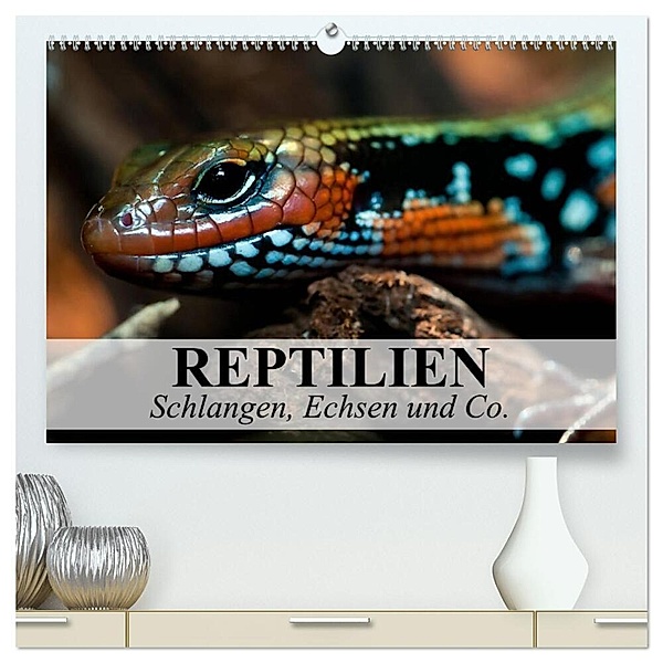 Reptilien Schlangen, Echsen und Co. (hochwertiger Premium Wandkalender 2024 DIN A2 quer), Kunstdruck in Hochglanz, Elisabeth Stanzer