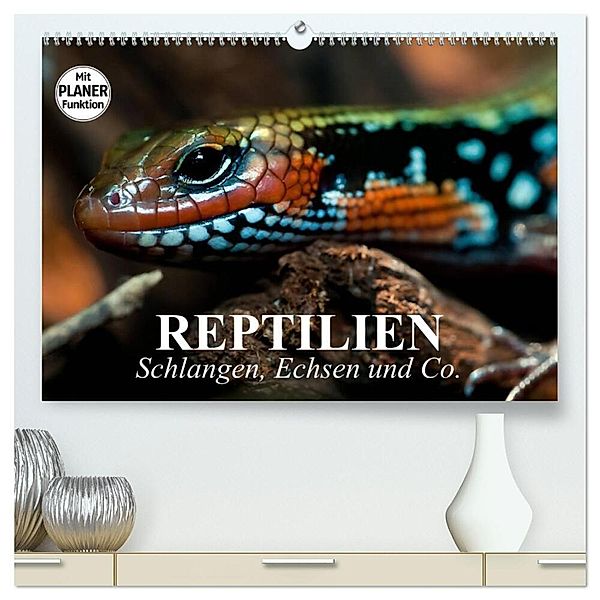 Reptilien. Schlangen, Echsen und Co. (hochwertiger Premium Wandkalender 2025 DIN A2 quer), Kunstdruck in Hochglanz, Calvendo, Elisabeth Stanzer