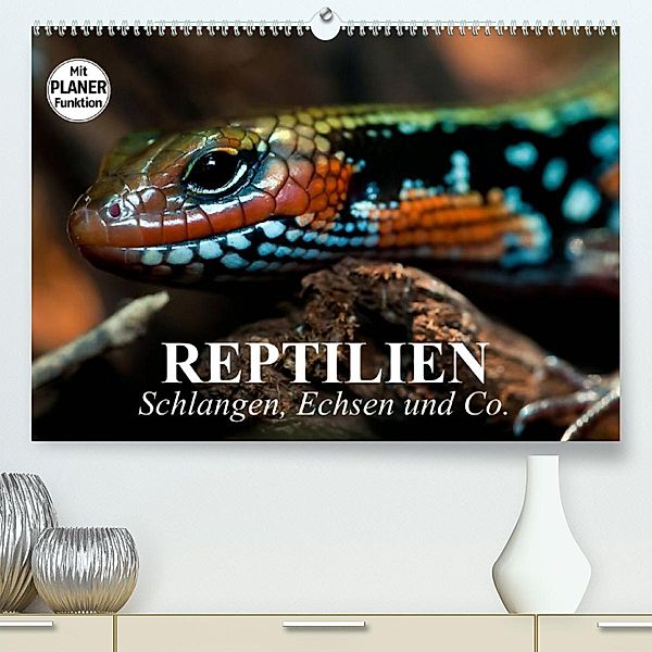 Reptilien. Schlangen, Echsen und Co. (Premium, hochwertiger DIN A2 Wandkalender 2023, Kunstdruck in Hochglanz), Elisabeth Stanzer