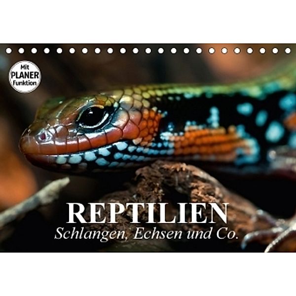 Reptilien. Schlangen, Echsen und Co. (Tischkalender 2017 DIN A5 quer), Elisabeth Stanzer