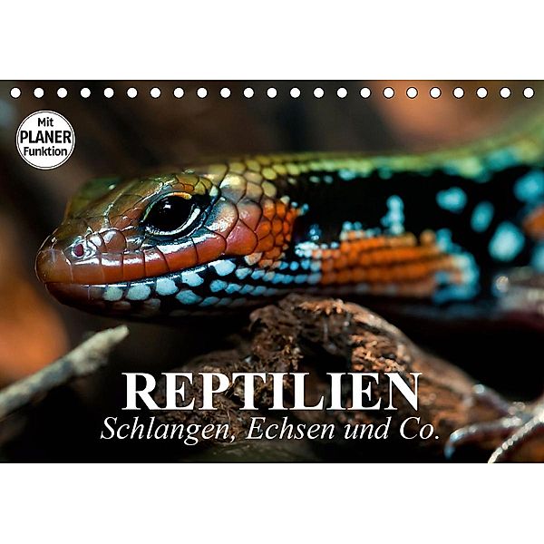 Reptilien. Schlangen, Echsen und Co. (Tischkalender 2021 DIN A5 quer), Elisabeth Stanzer